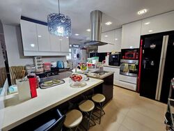 Blk 245 Pasir Ris Street 21 (Pasir Ris), HDB Executive #501337211